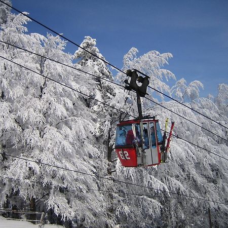 Pohorje Village Wellbeing Resort - Forest Apartments Videc Hočko Pohorje Екстериор снимка