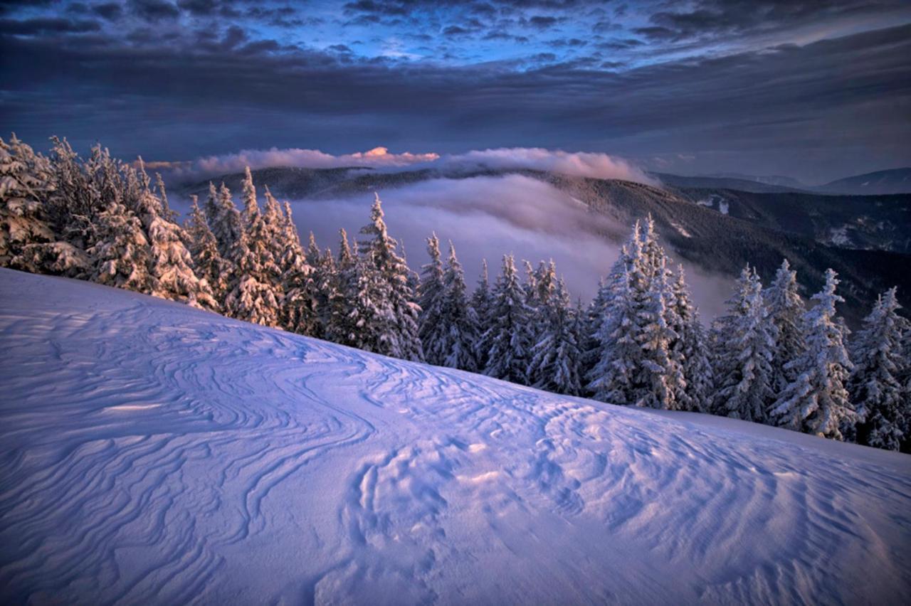 Pohorje Village Wellbeing Resort - Forest Apartments Videc Hočko Pohorje Екстериор снимка