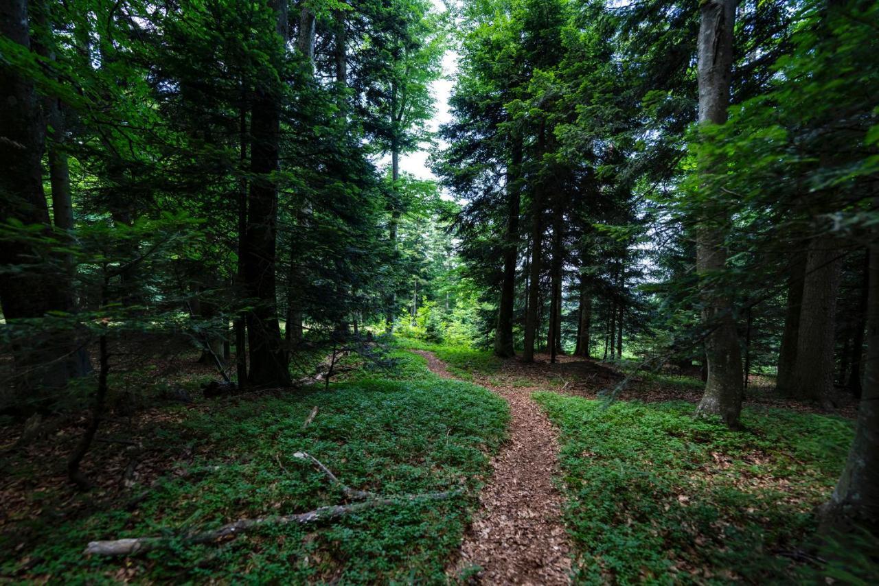 Pohorje Village Wellbeing Resort - Forest Apartments Videc Hočko Pohorje Екстериор снимка