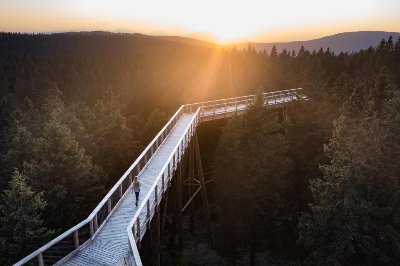 Pohorje Village Wellbeing Resort - Forest Apartments Videc Hočko Pohorje Екстериор снимка