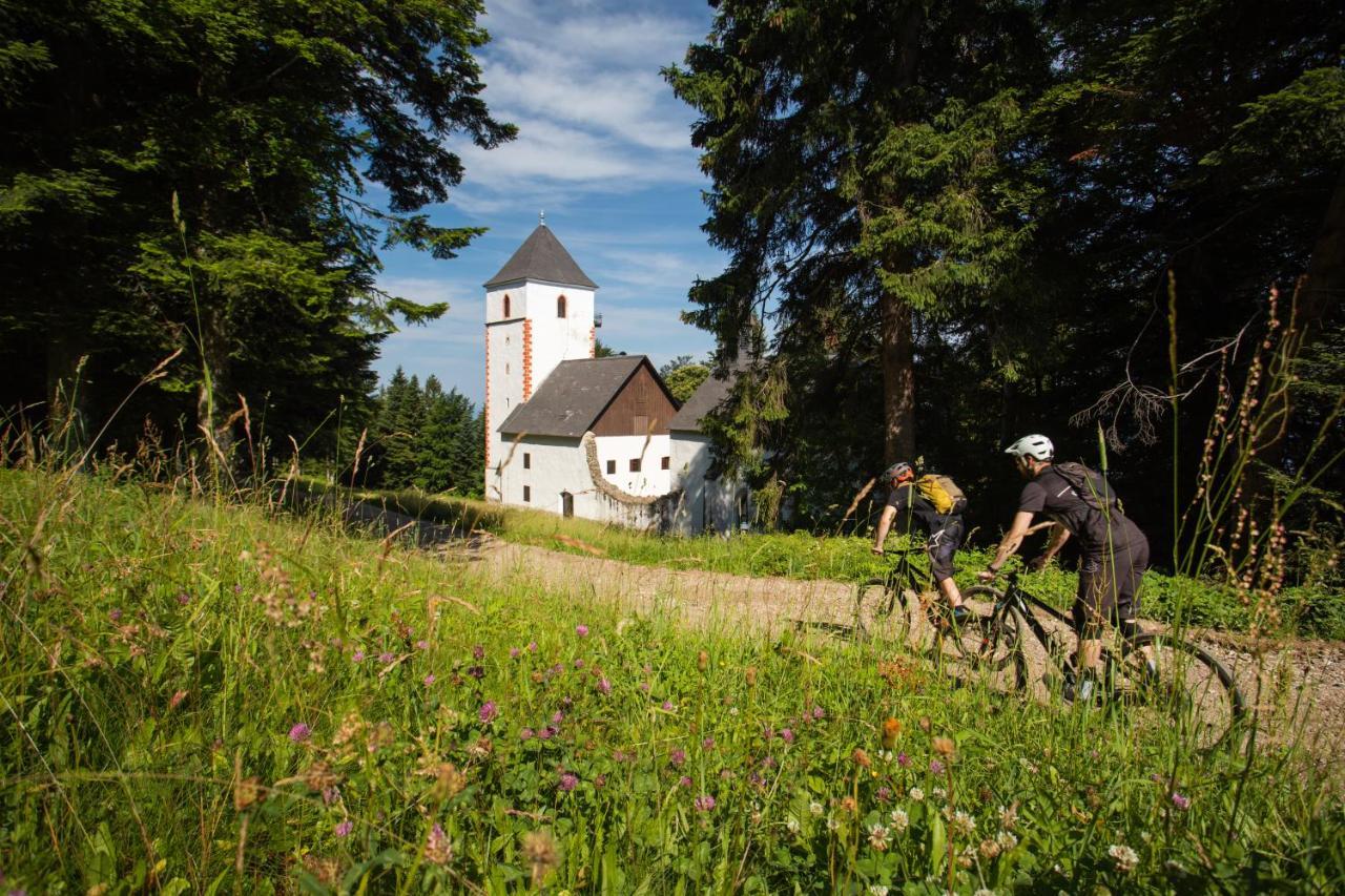Pohorje Village Wellbeing Resort - Forest Apartments Videc Hočko Pohorje Екстериор снимка