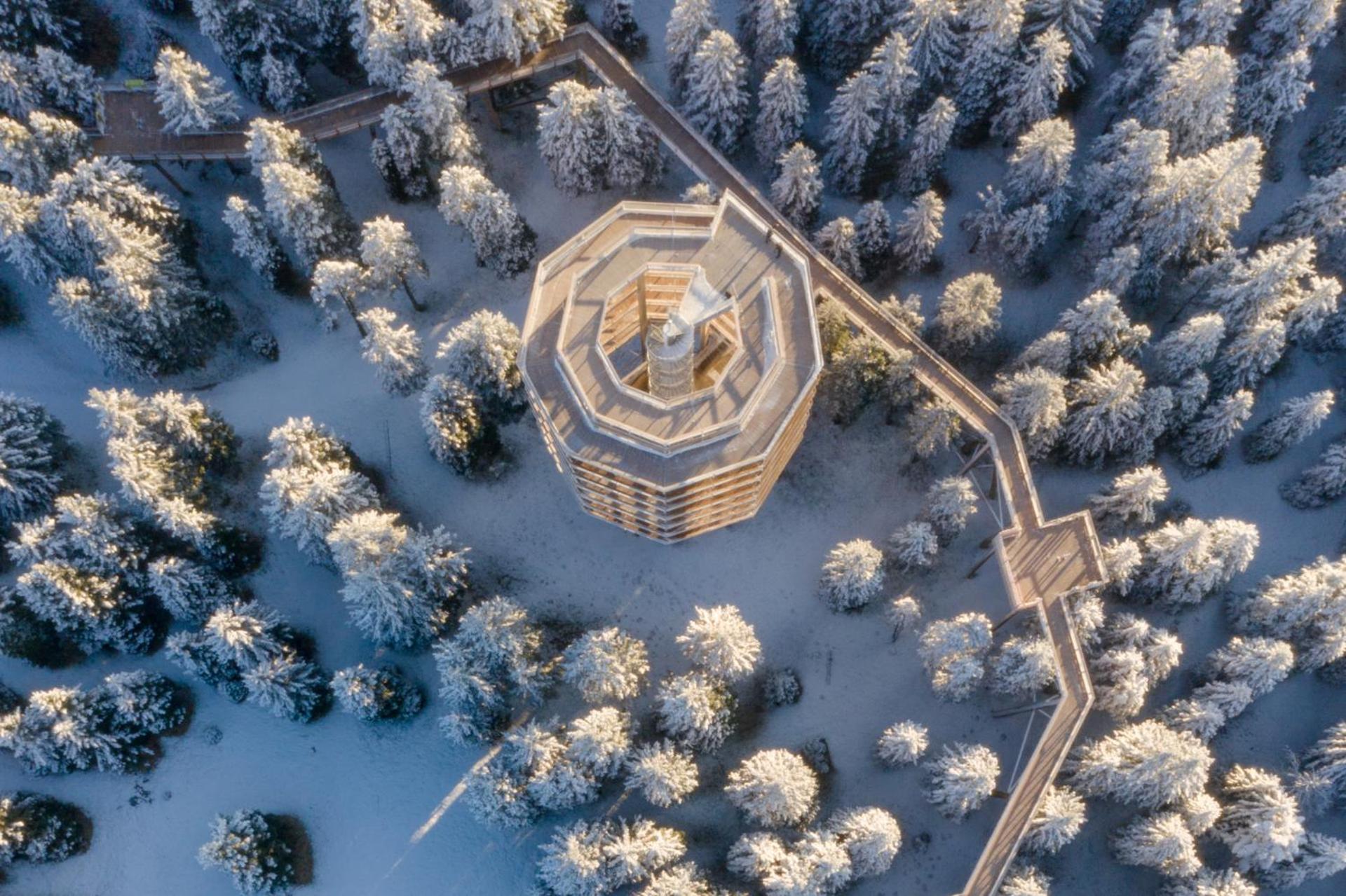 Pohorje Village Wellbeing Resort - Forest Apartments Videc Hočko Pohorje Екстериор снимка