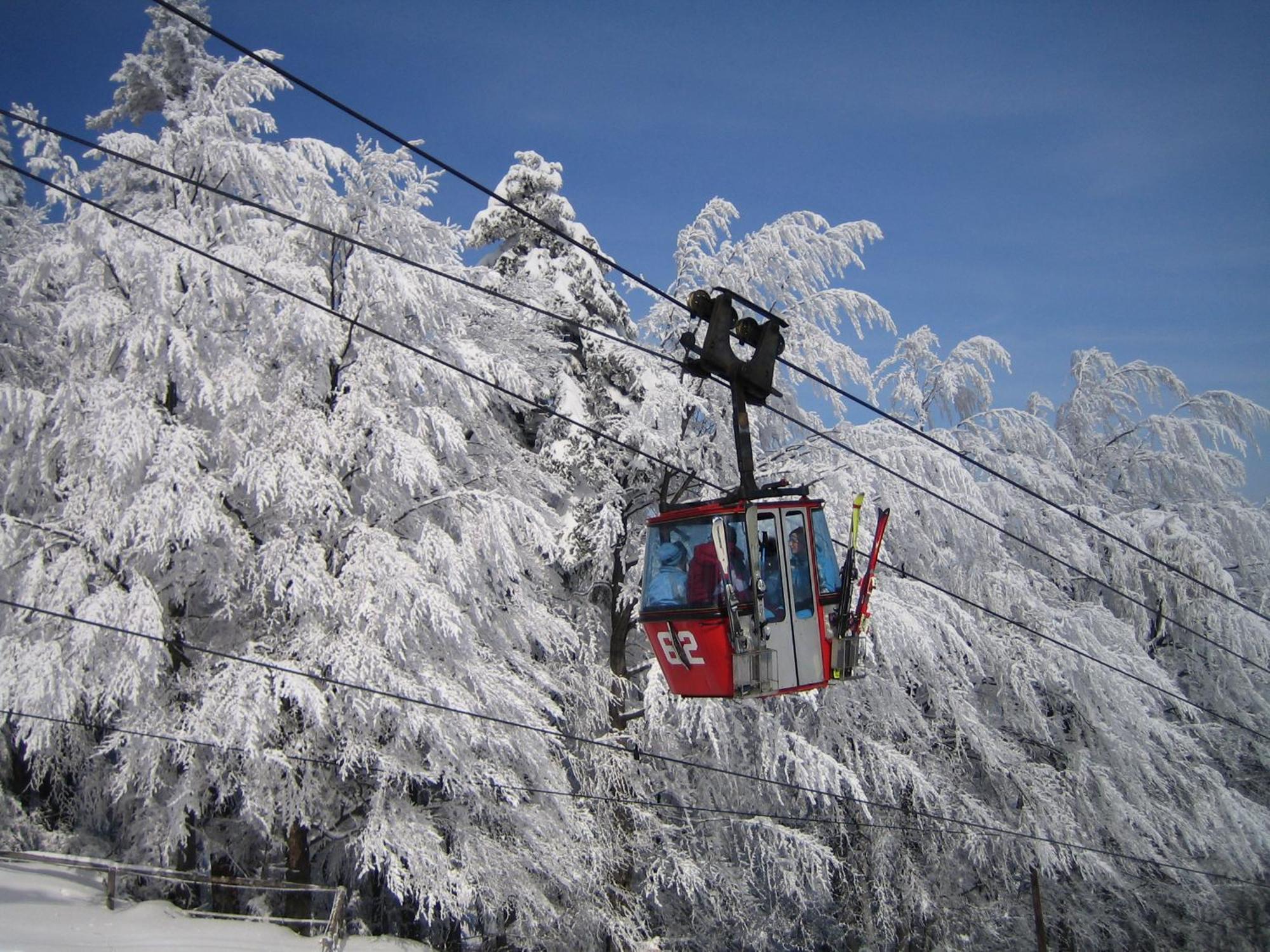 Pohorje Village Wellbeing Resort - Forest Apartments Videc Hočko Pohorje Екстериор снимка